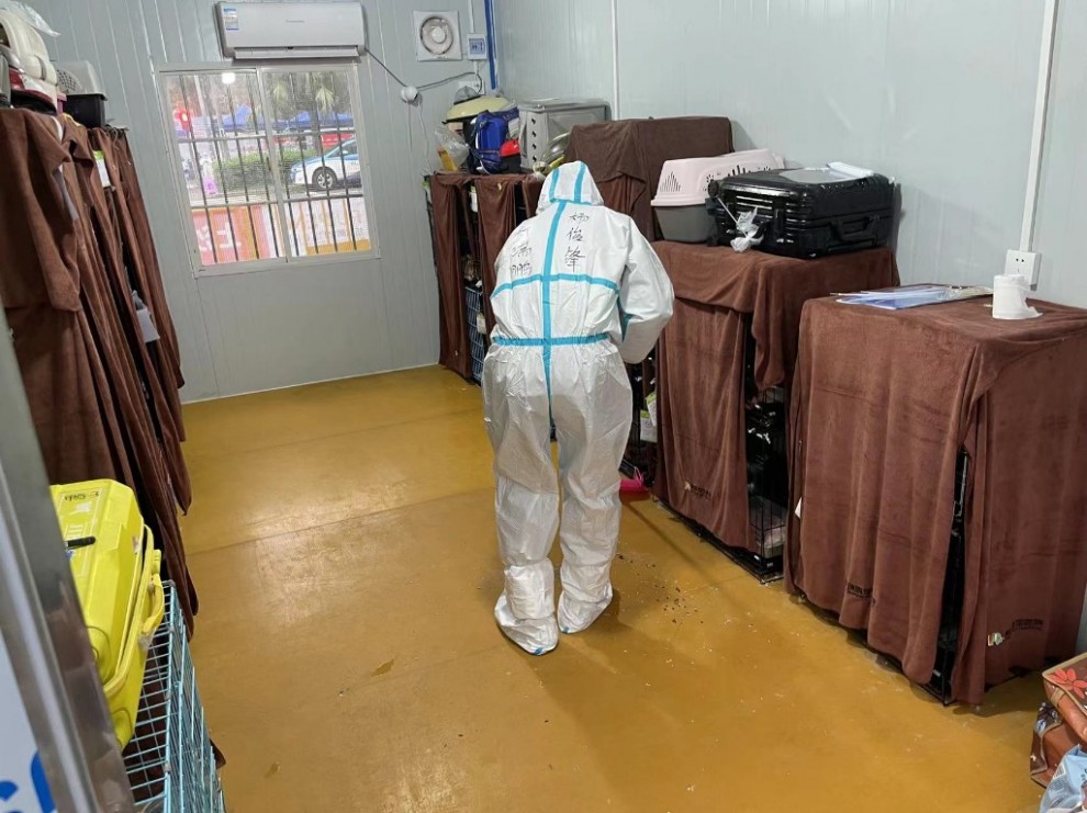 深圳宠物爱心托管驿站：给疫情中的留守宠物一个安全的“家”