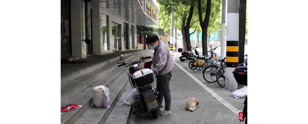 上海街拍：代买的白菜、送志愿者的床、认了新主人的宠物