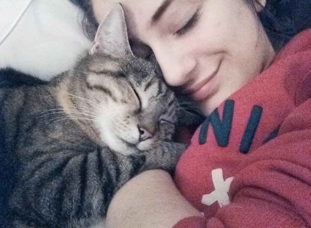 猫咪喜欢和人一起睡觉，原来背后竟有这“5点心理”