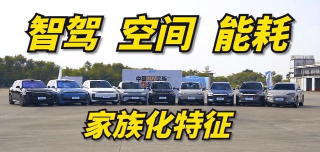 零跑、比亚迪、理想九车大横评！零跑C11为何能够突围而出？