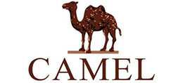 Camel骆驼
